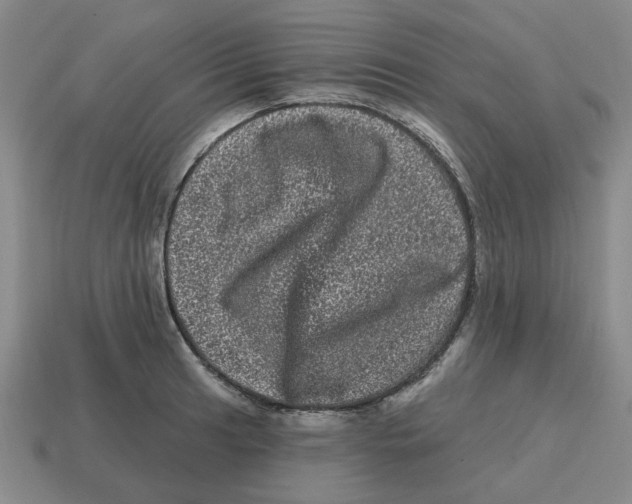 X0000114201041200911061420