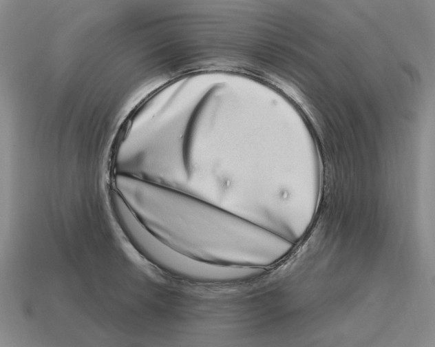 X0000114201042200911061420