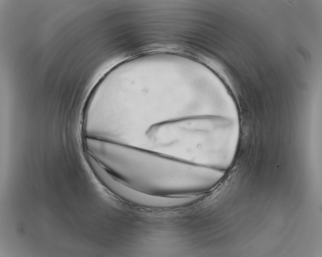 X0000114201050200911061420