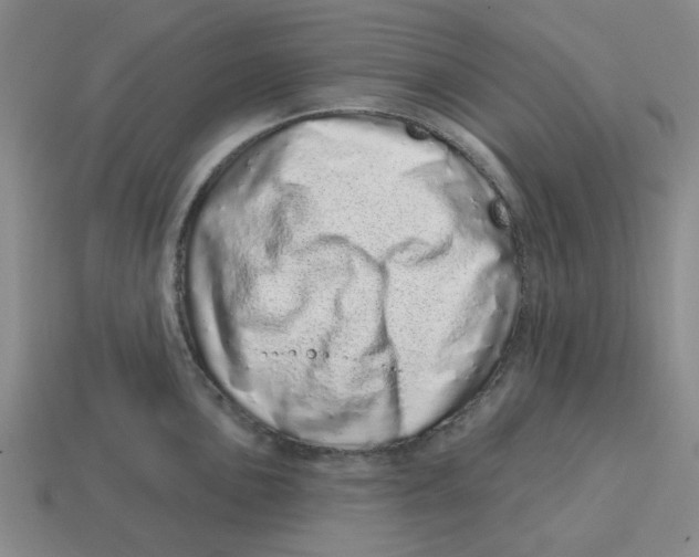 X0000114201051200911061420