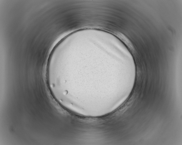 X0000114201052200911061420