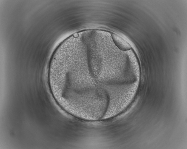 X0000114201053200911061420