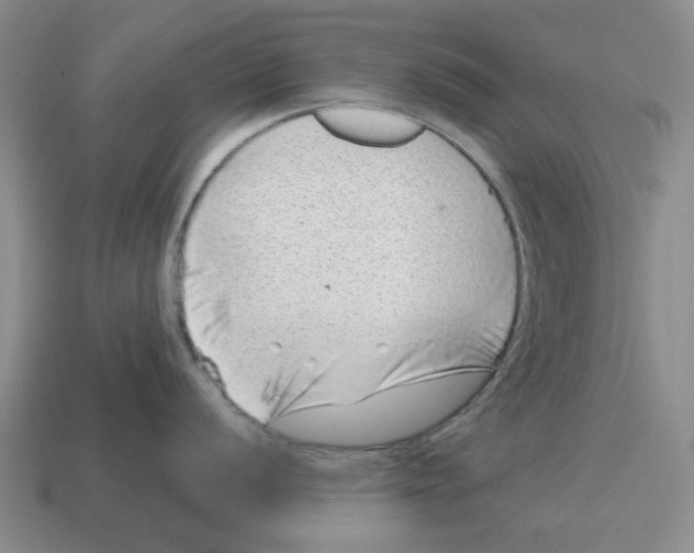 X0000114201056200911061420