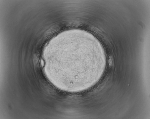 X0000114201059200911061420