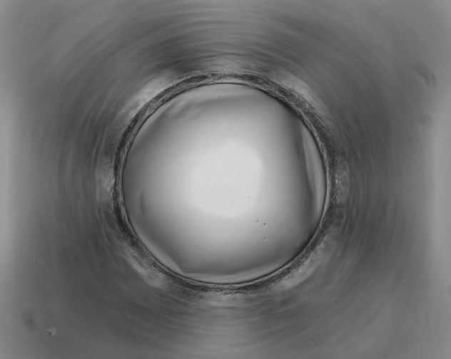 X0000114201065200911061420