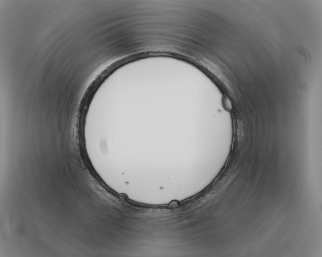 X0000114201068200911061420