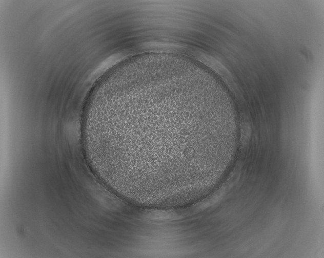 X0000114201074200911061419