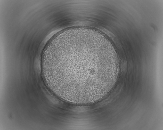 X0000114201078200911061419