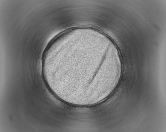 X0000114201079200911061419