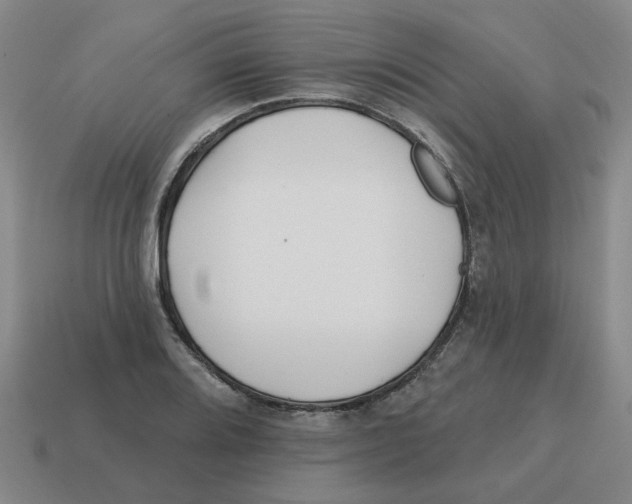 X0000114201080200911061419