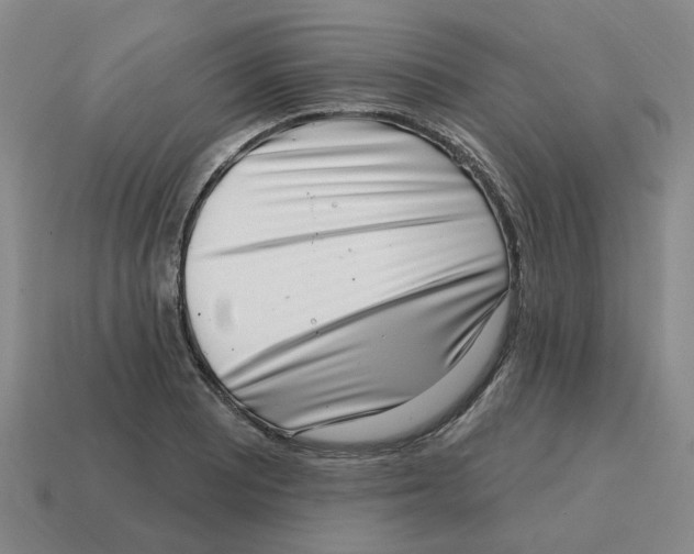 X0000114201081200911061419