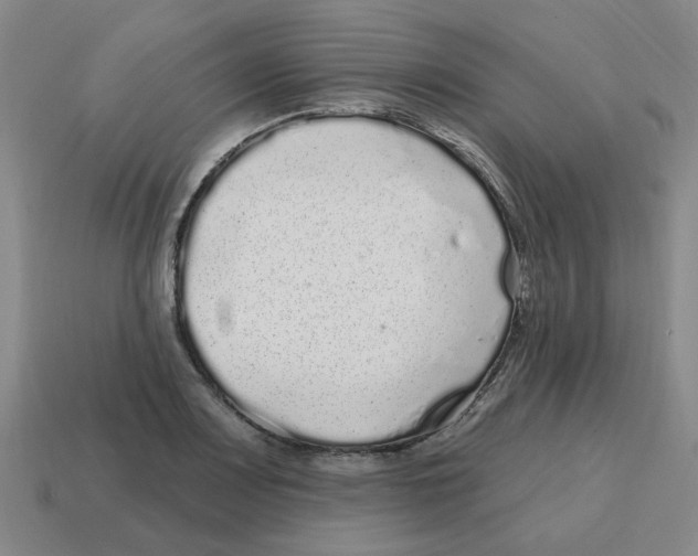 X0000114201083200911061419