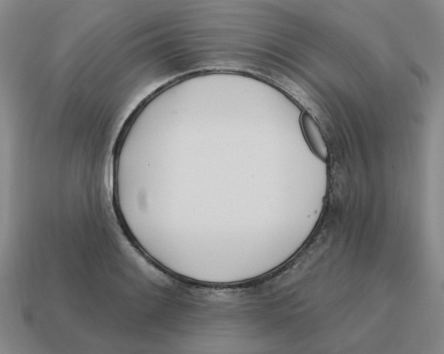 X0000114201084200911061419