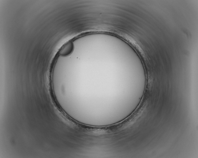 X0000114201085200911061419