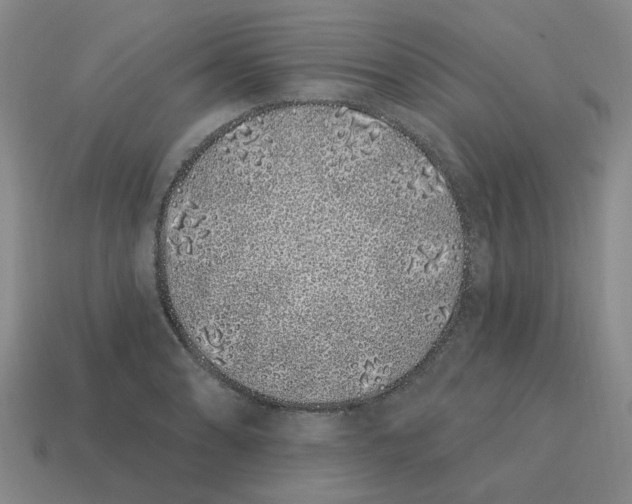 X0000114201086200911061419