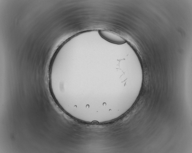 X0000114201088200911061419