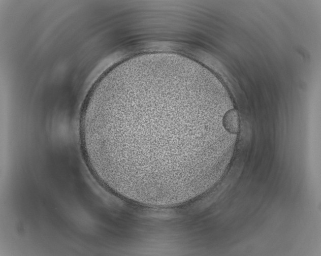 X0000114201090200911061419