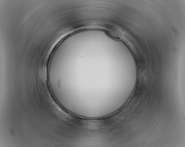 X0000114201092200911061419