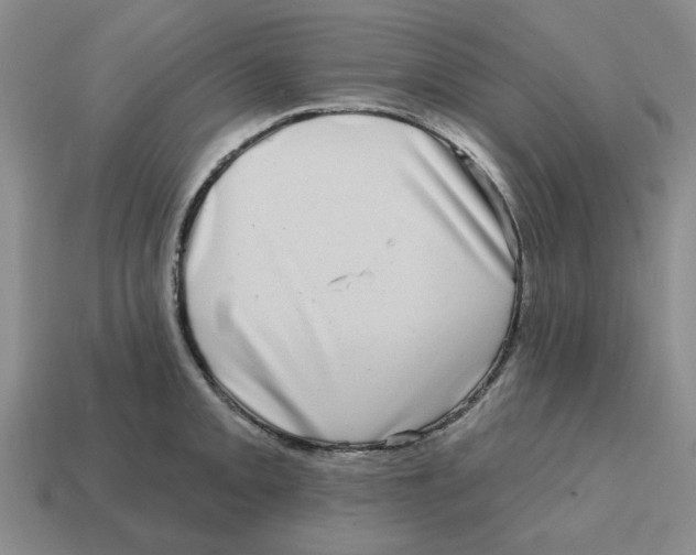 X0000114201093200911061419