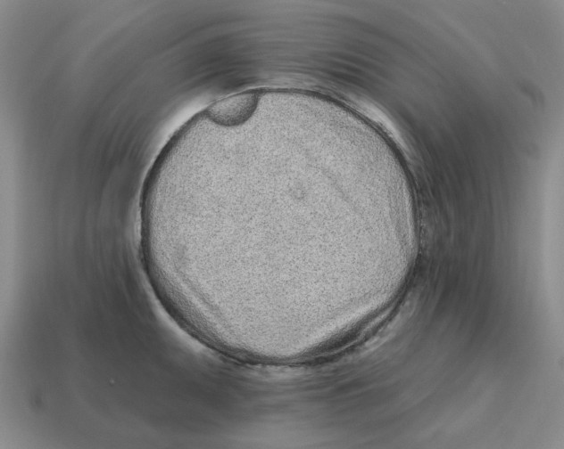 X0000114201095200911061419