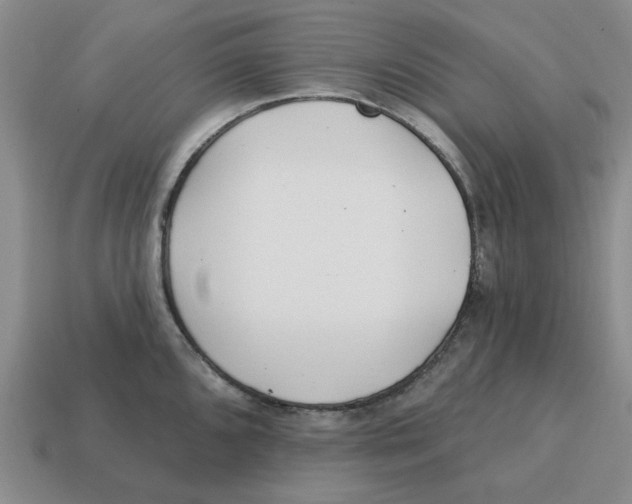 X0000114201096200911061419