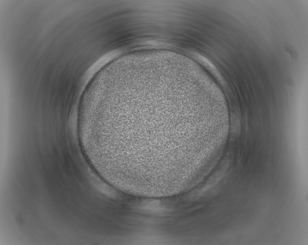 X0000114201098200911061419