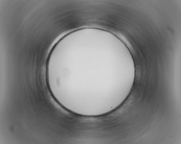 X0000114201100200911061419