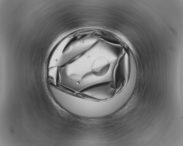 X0000114201101200911061419