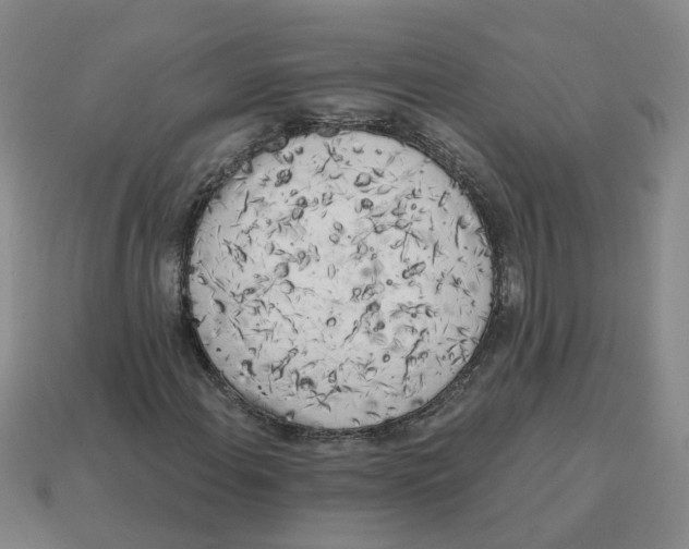 X0000114201108200911061418