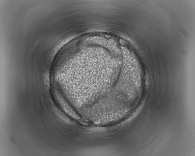 X0000114201113200911061418