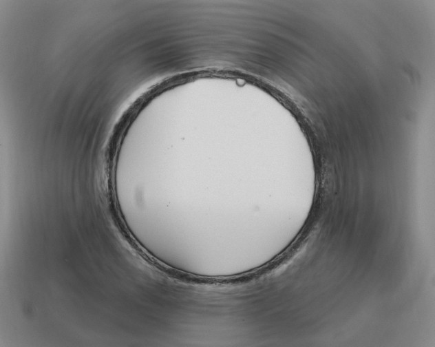 X0000114201118200911061418