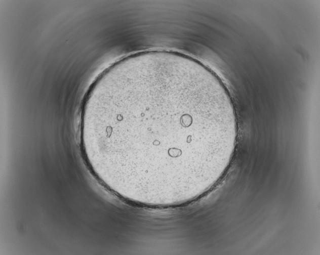 X0000114201126200911061419