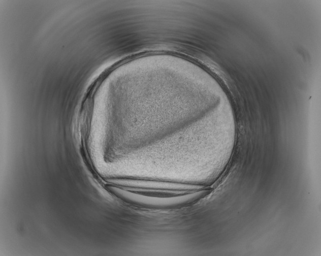 X0000114201127200911061419