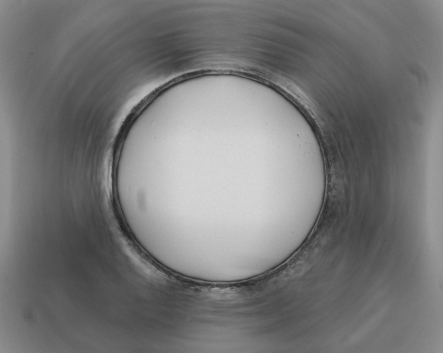 X0000114201128200911061419