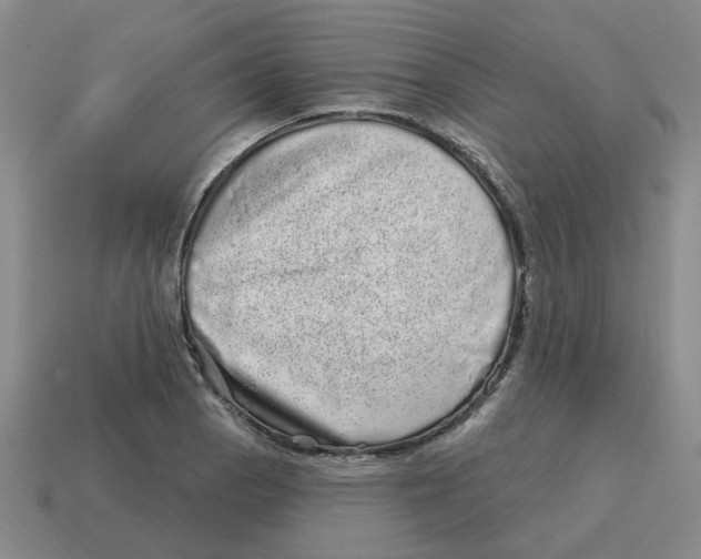 X0000114201129200911061419