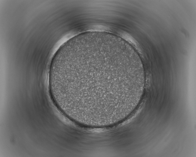 X0000114201130200911061419