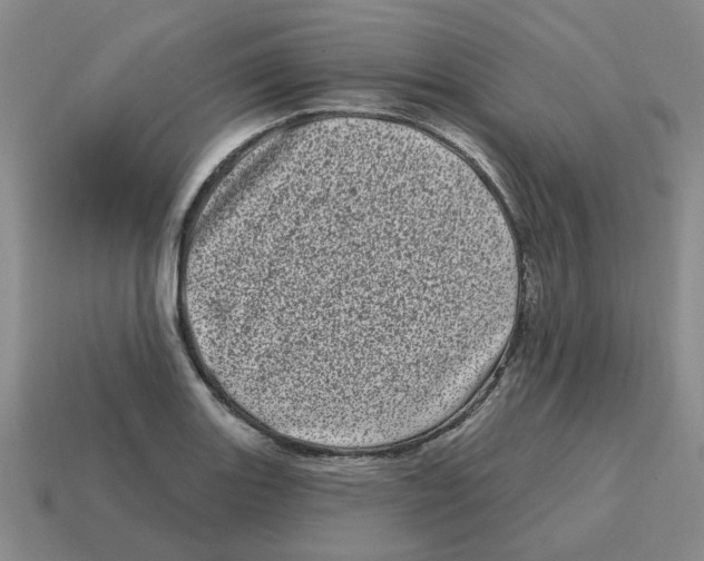 X0000114201131200911061419