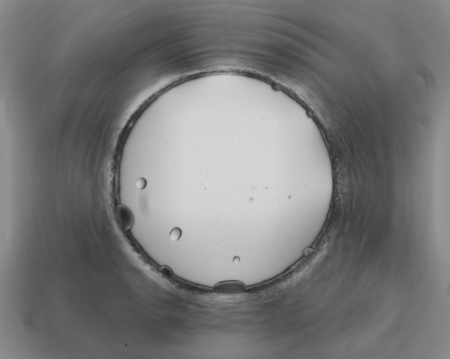 X0000114201134200911061419