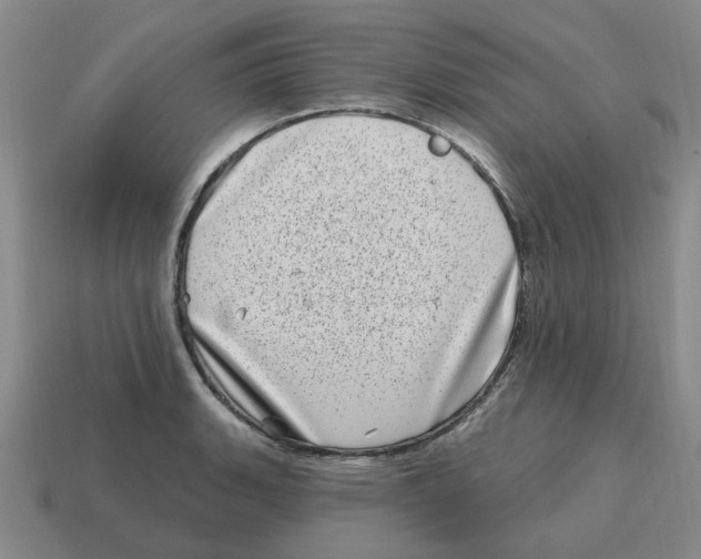 X0000114201135200911061419