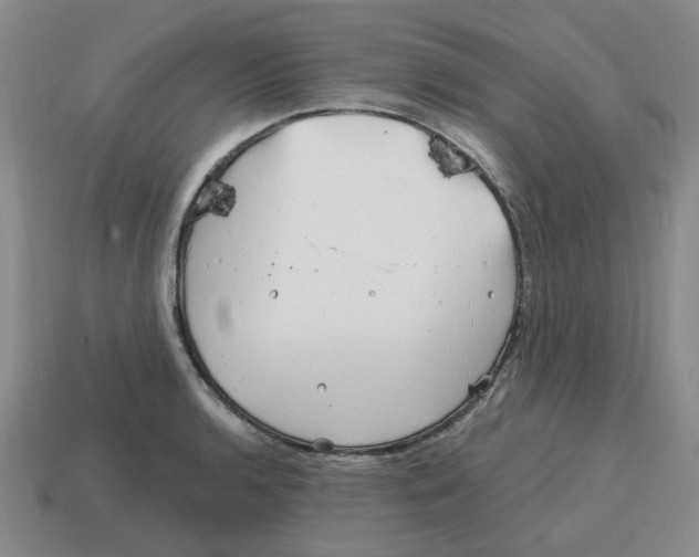 X0000114201136200911061419