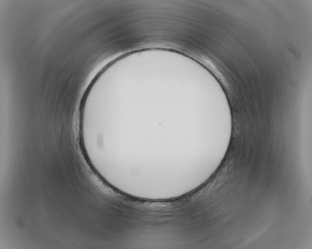 X0000114201140200911061419