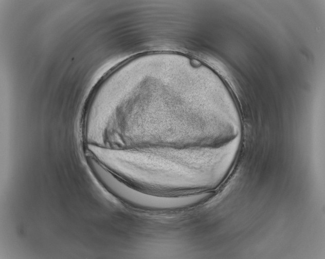 X0000114201141200911061419