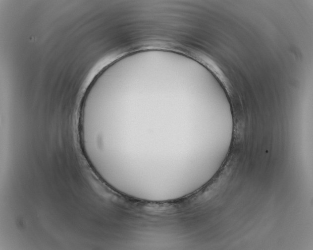 X0000114201146200911061419