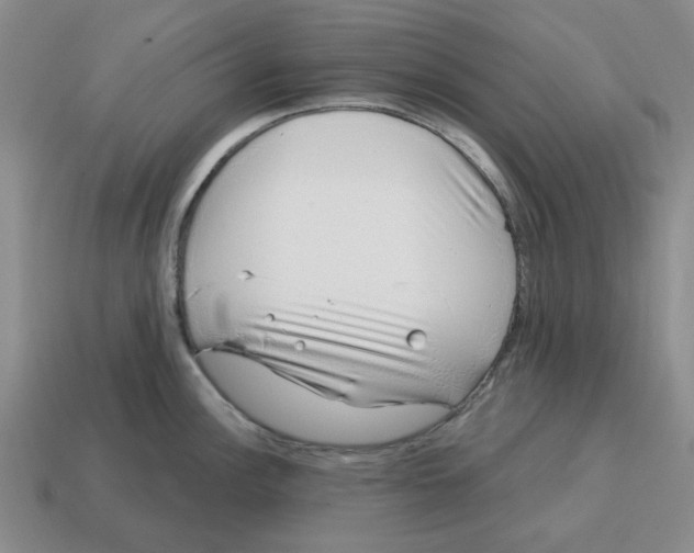 X0000114201148200911061419