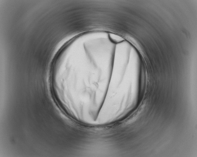 X0000114201149200911061419