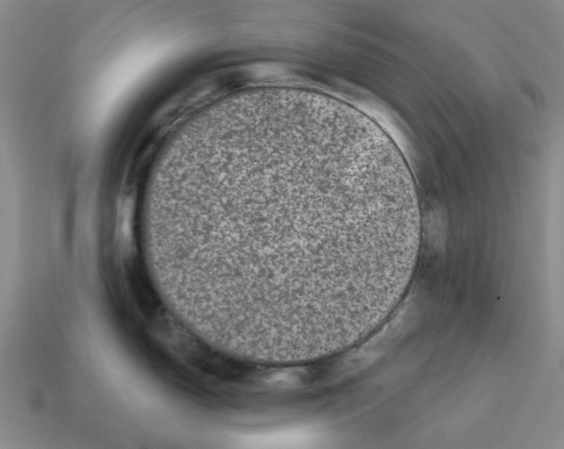 X0000114201150200911061419