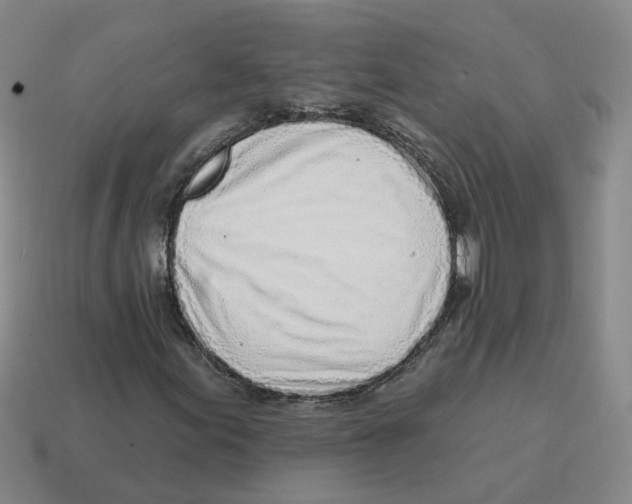 X0000114201155200911061418