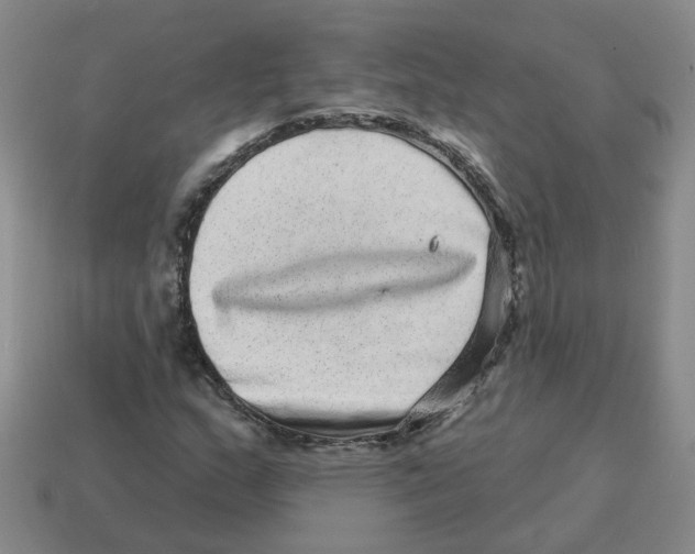 X0000114201159200911061418