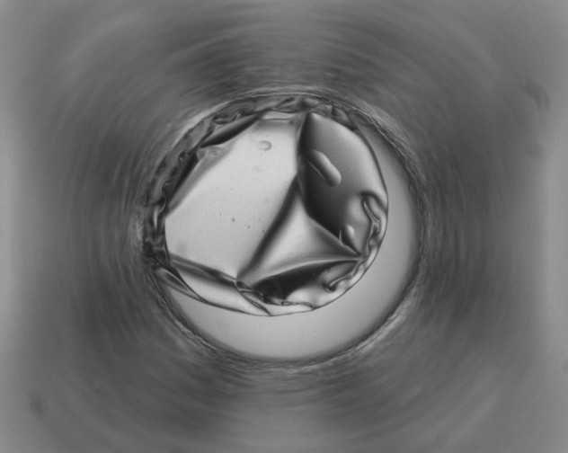 X0000114201161200911061418