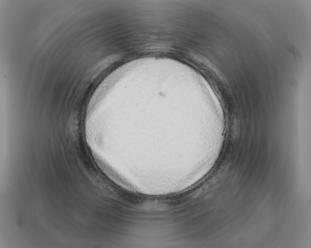 X0000114201162200911061418